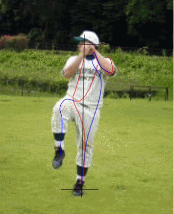 野球選手（投手）の移動負荷動作による筋連動ライン図